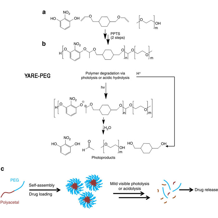 单体PEGn单分散单分子量小分子量短链修饰聚乙二醇活化修饰剂官能团衍生物