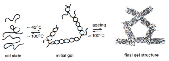 核酸电泳新选择：全自动快速分析核酸