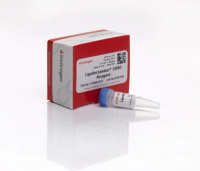 Lipofectamine™ 2000   脂质体转染试剂