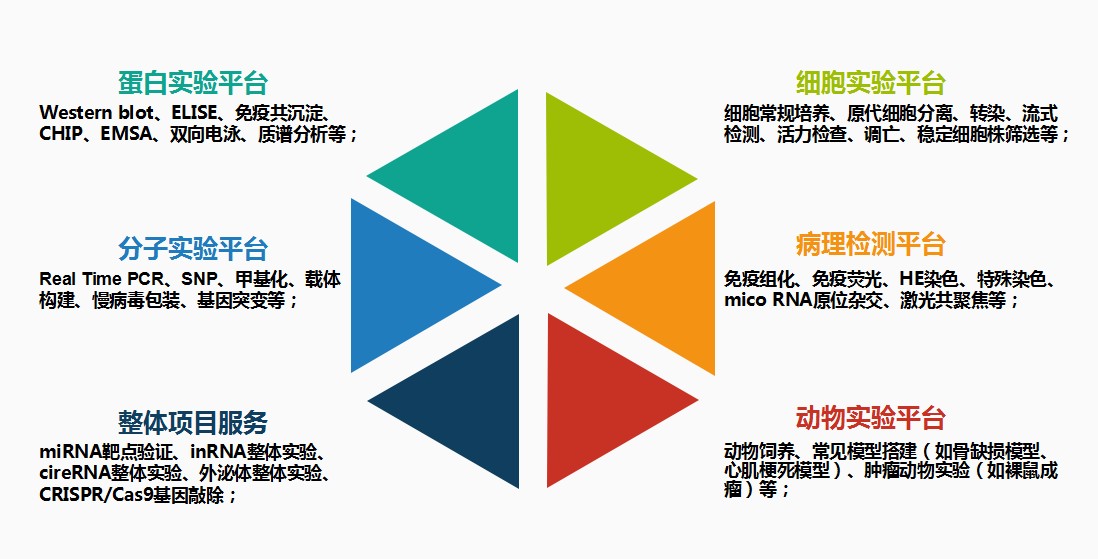 产品细节图片1