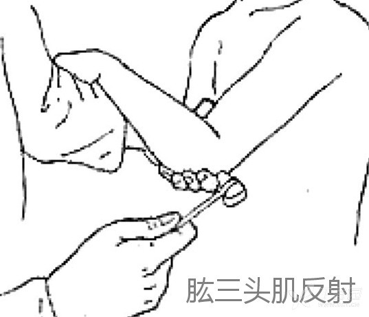 3387281006633059959-8w.jpg