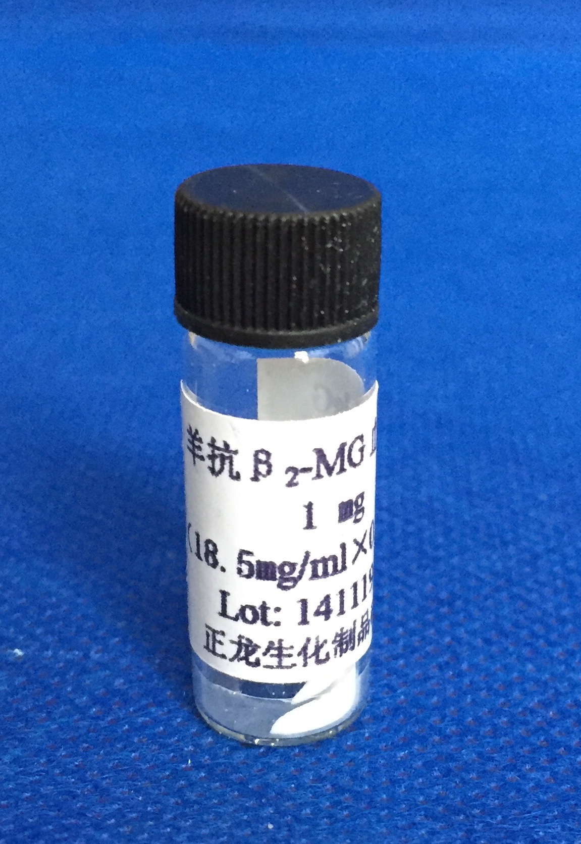 羊抗β2-MG抗体
