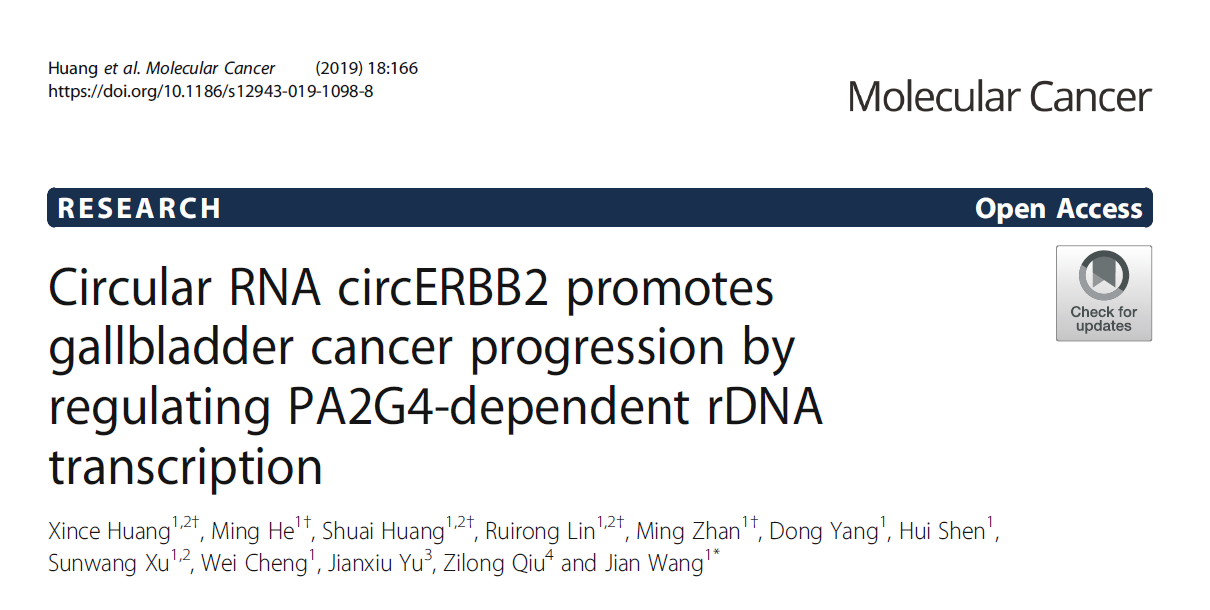 circRNA：不仅仅是miRNA sponge