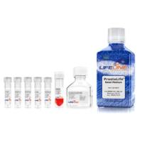 前列腺/精囊上皮细胞培养基ProstaLife Complete Kit