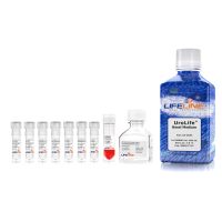 膀胱上皮细胞培养基UroLife Medium Complete Kit