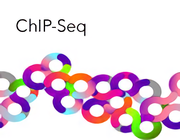染色质免疫共沉淀 ChIP-Seq 技术服务