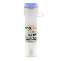 凝血酶来源于牛血浆(40-300 NIH units/mg protein, Reagent