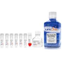 皮肤胶质细胞培养基(无钙)DermaLife-K Ca Free Complete K