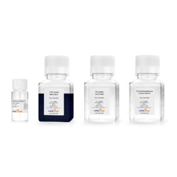 阿尔辛蓝染色试剂盒Alcian Blue Staining Kit