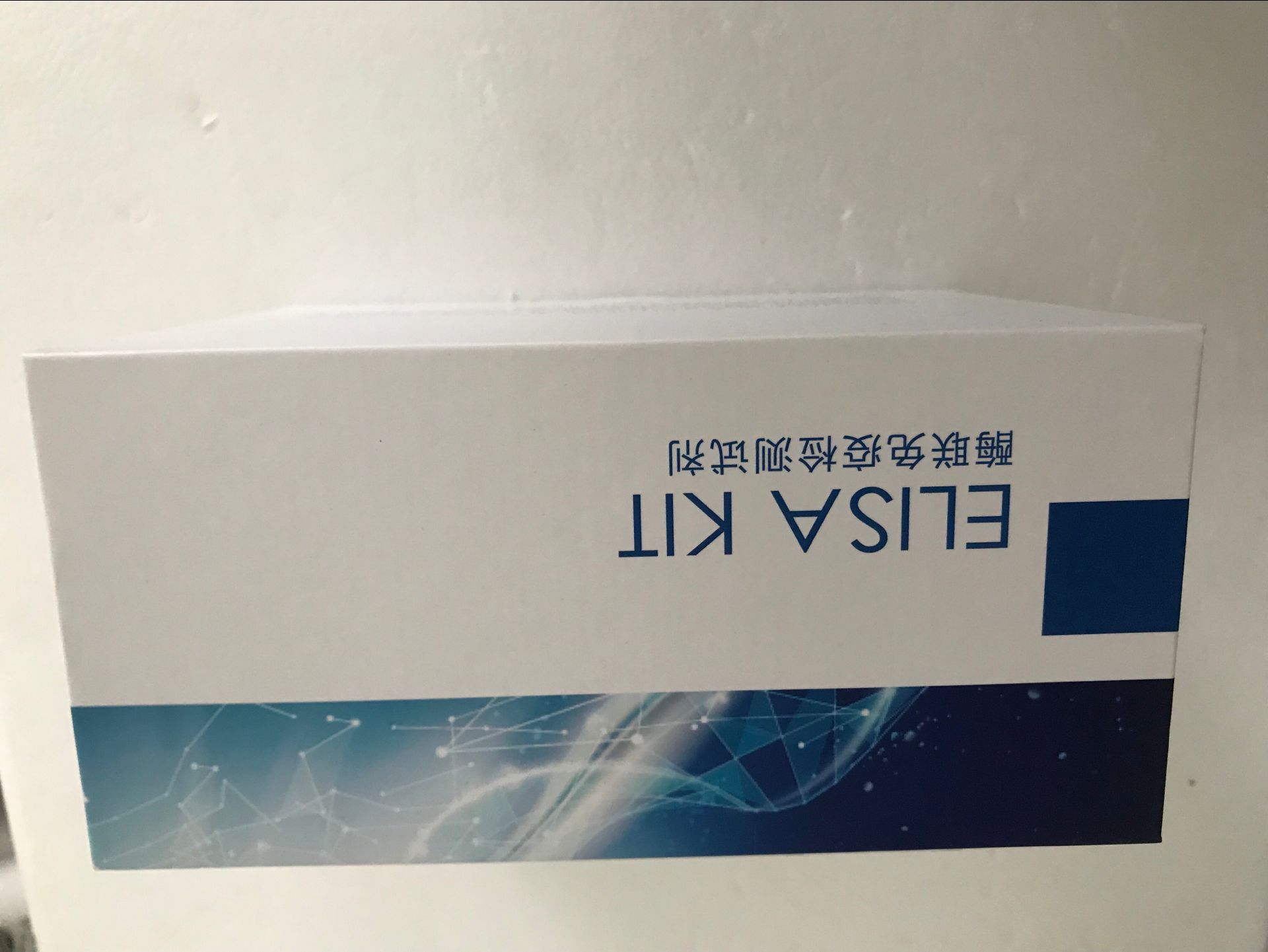 人白细胞介素1β(IL-1β)ELISA试剂盒厂家