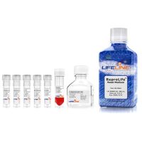 输卵管上皮细胞培养基ReproLIfe Complete Kit (contai