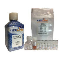 宫颈上皮细胞培养基ReproLife CX Medium Complete K