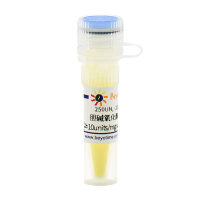 胆碱氧化酶来自产碱菌属(≥10units/mg solid, Reagent grade)