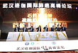 珞珈山肺癌论坛盈车嘉穗，厄洛替尼首发上市风禾尽起
