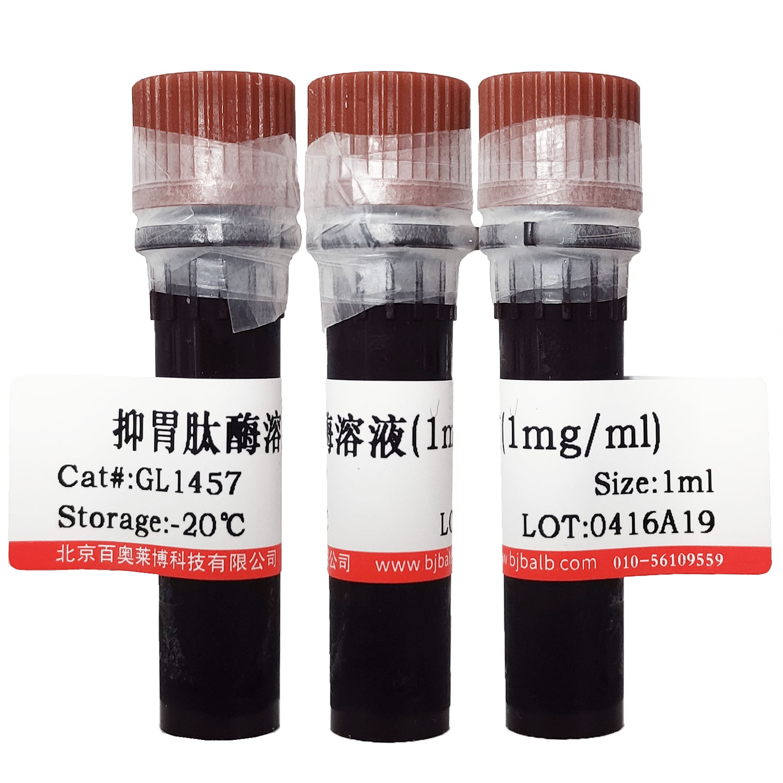 增强型蛋白印迹膜再生液优惠促销