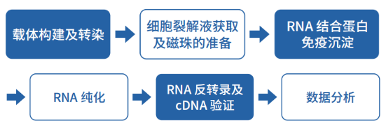 专题讲座|经典互作，大有作为