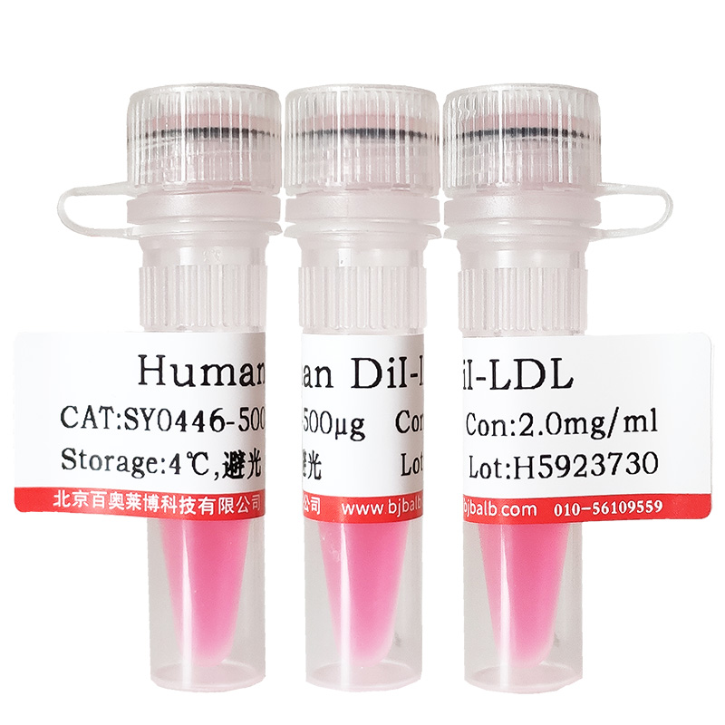 梣酮(28808-62-0)北京价格