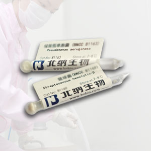 肺炎链球菌BNCC338425
