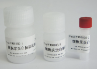 细胞膜蛋白与细胞浆蛋白提取试剂盒