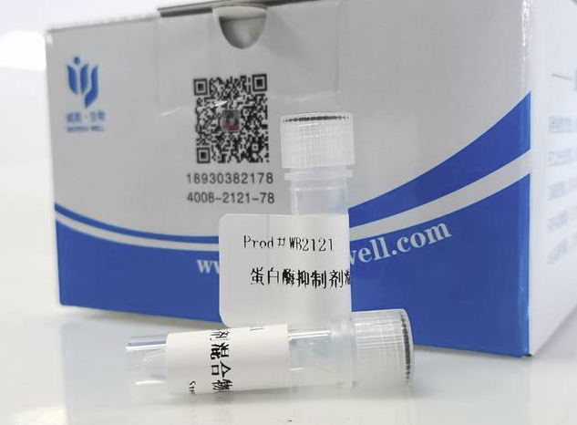 BCA蛋白浓度测定试剂盒(增强型)（含标准品）