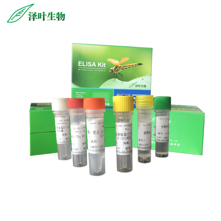 鸭肝炎病毒1型染料法荧光定量RT-PCR试剂盒