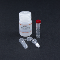 HD-021 Minute™ 总蛋白提取试剂盒(角质化组织)