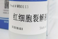 红细胞裂解液