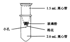 磁性微球的表面材质之二氧化硅