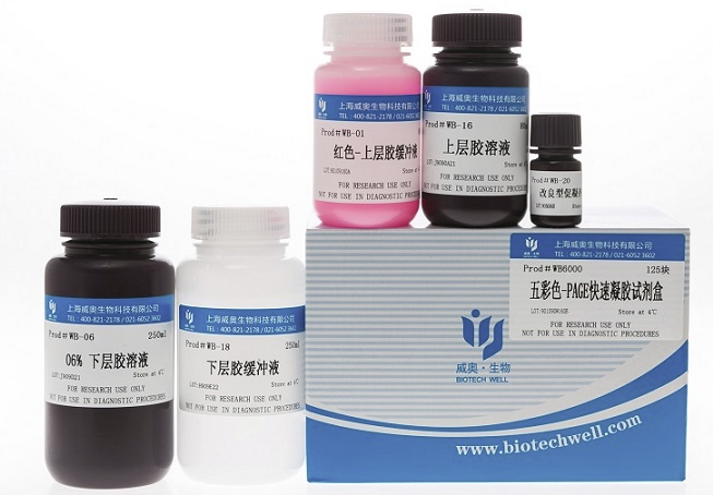 紫色-PAGE快速凝胶试剂盒（8%）