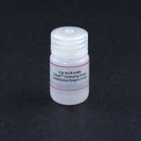 WA-009 Minute™ 变性蛋白溶解液