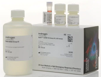Qubit™ dsDNA HS Assay Kit-Q32854