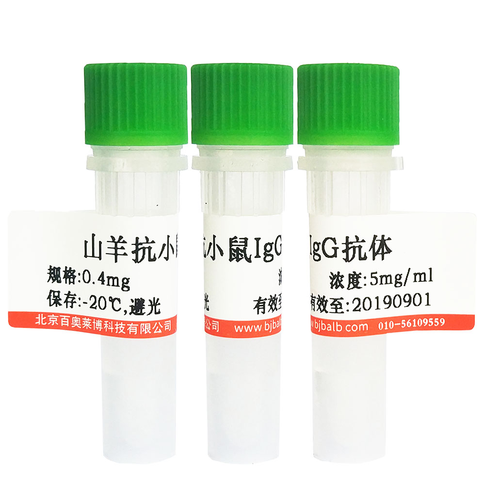 兔抗IL-6抗体北京供应商