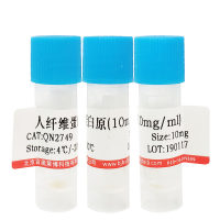 10×TBS粉末(BR Grade)现货供应