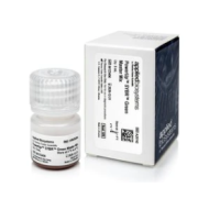 PowerUp™ SYBR™ Green Master MixA25742