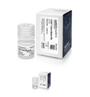 SYBR™ Select Master Mix4472908