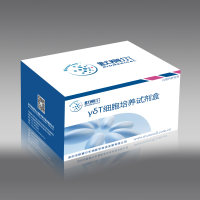 γδ T细胞培养试剂盒