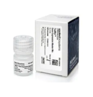 TaqMan™ Gene Expression Master Mix4369016