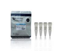 长片段PCR预混液：2× Long Taq PCR ProMix