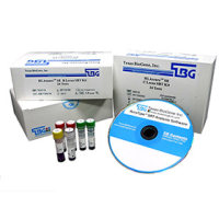 HLA-A核酸分型检测试剂盒（PCR-SBT法）