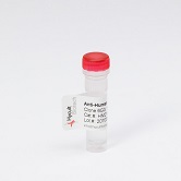 Lipopolysaccharide Core mAb WN1 222-5