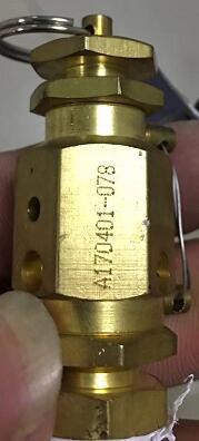 厦门致微灭菌锅配件压力表，安全阀，打印机，不锈钢提桶，带底不