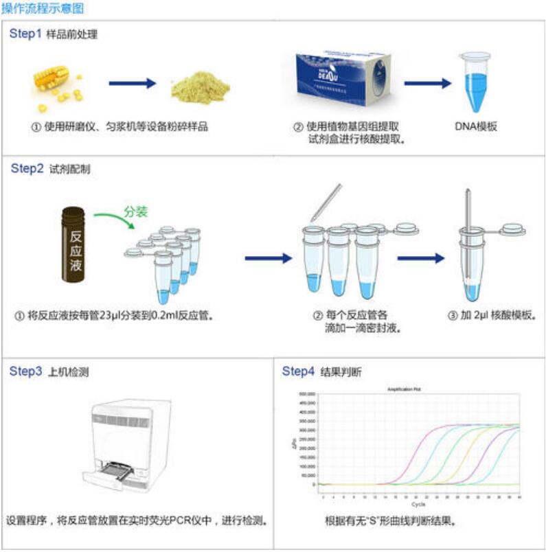 艾叶PCR鉴定试剂盒说明书