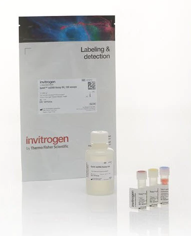 Invitrogen Qubit ssDNA Assay Kit单链DNA检测试剂盒 Q10212