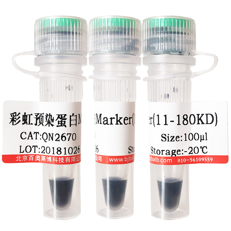 NF-κB凝胶迁移探针(10μM)北京价格