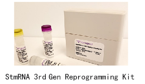 Stemgent RNATM -NM重编程试剂盒