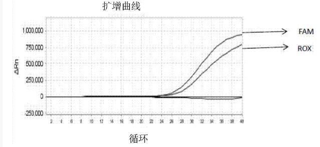 粉萆薢染料法PCR鉴定试剂盒说明书