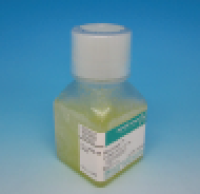 细胞消化液   Accutase