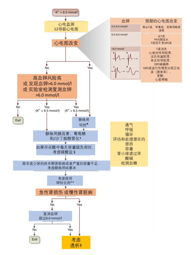 高钾血症应急流程图图片