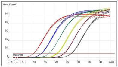 京大戟探针法PCR鉴定试剂盒供应商