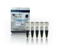 快速PCR预混液：2× Fast PfuMax Green HiFi PCR ProMix